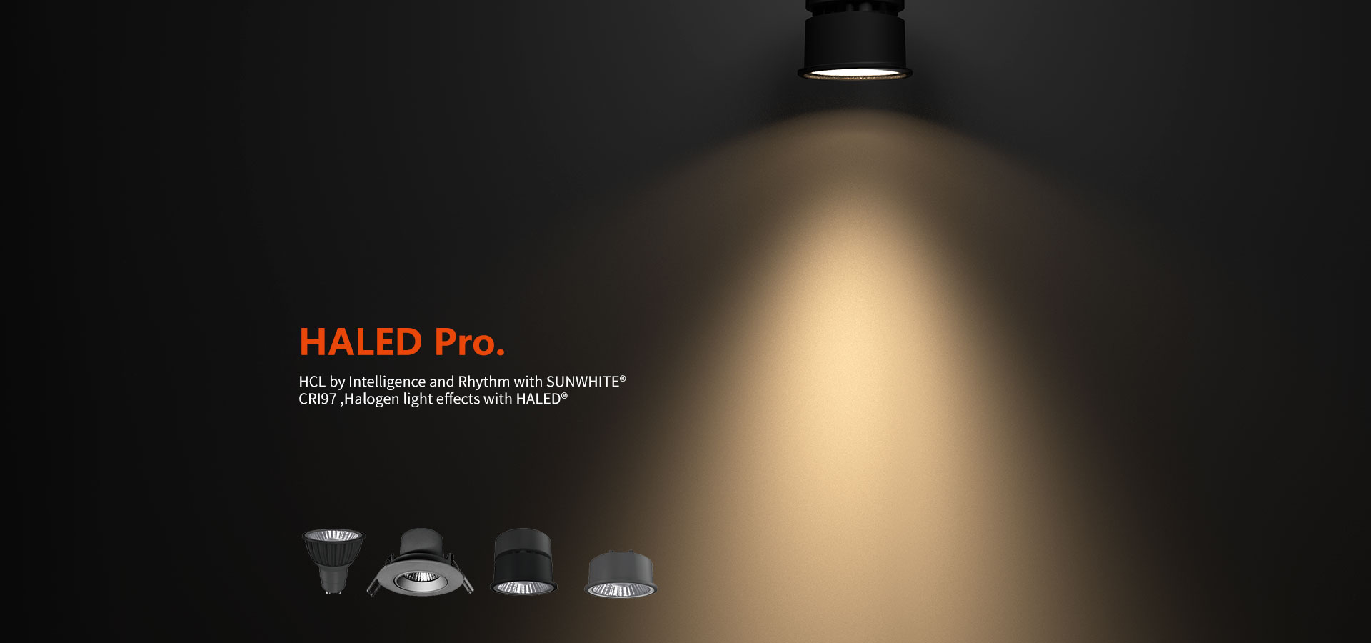 HALED Pro banner.jpg